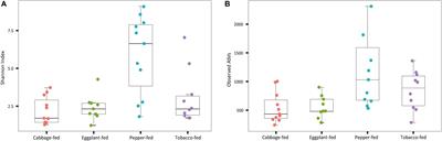 Microbiome Structure of the Aphid Myzus persicae (Sulzer) Is Shaped by Different Solanaceae Plant Diets